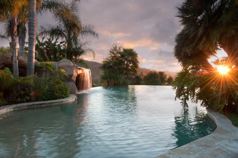 Sinuous infinity pool surrounded by rocks and palms with sense so beautiful